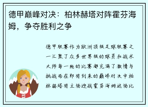 德甲巅峰对决：柏林赫塔对阵霍芬海姆，争夺胜利之争